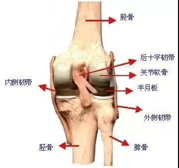 鲁西骨科医院专家“换关节”保留后交叉韧带，恢复快、效果好！